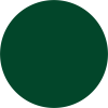11_VERDE_6005