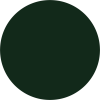 12_VERDE_6009
